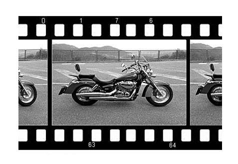 Cattura honda custom
