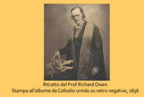 collodio 4
