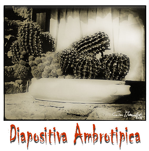 diapositiva abrotipica1