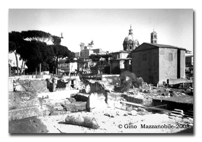 roma7 roma7