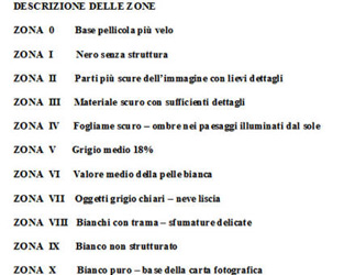 zonale 4
