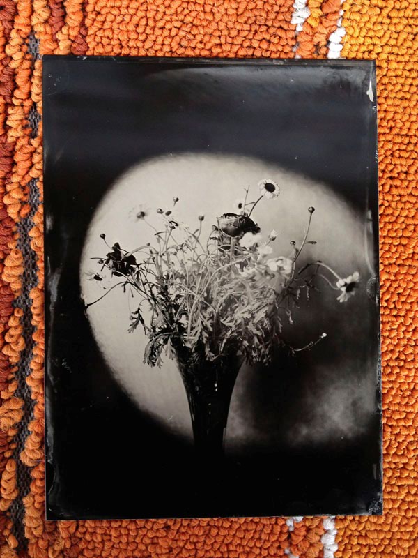 Immagine 029